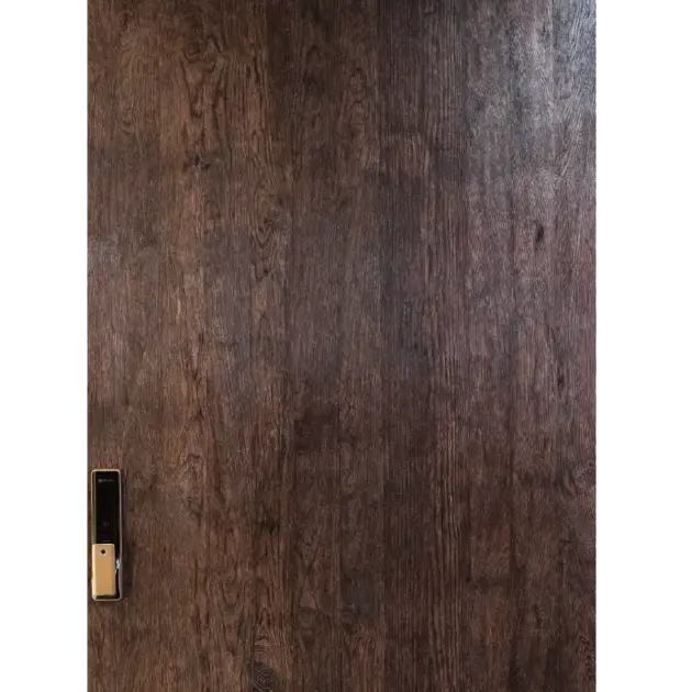 DOOR 25 HANDLE