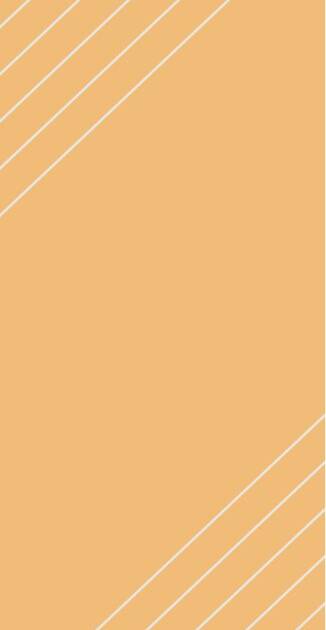 WS010